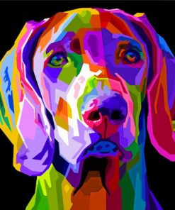 Colorful Weimaraner Dog Diamond Paintings